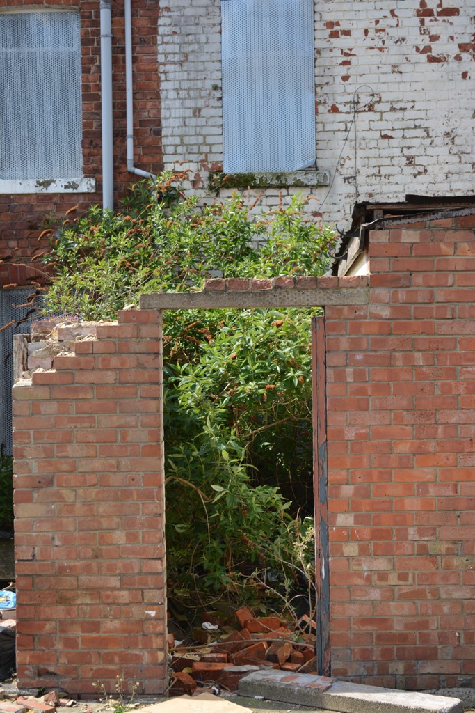 Middlesbrough Council